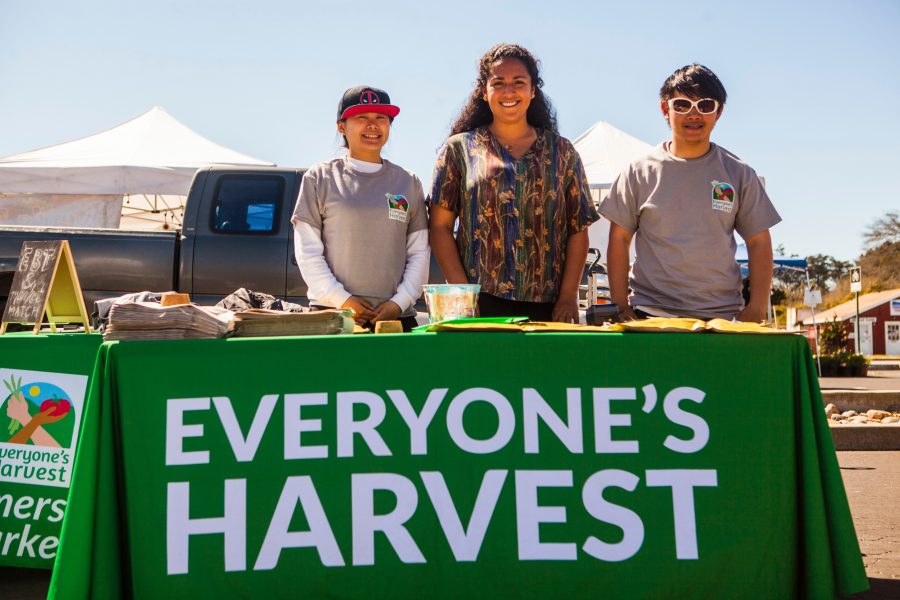 Everyone’s Harvest – Get Involved Everyone’s Harvest – Get Involved